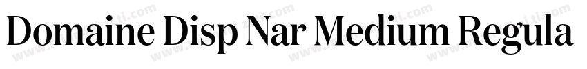 Domaine Disp Nar Medium Regular字体转换